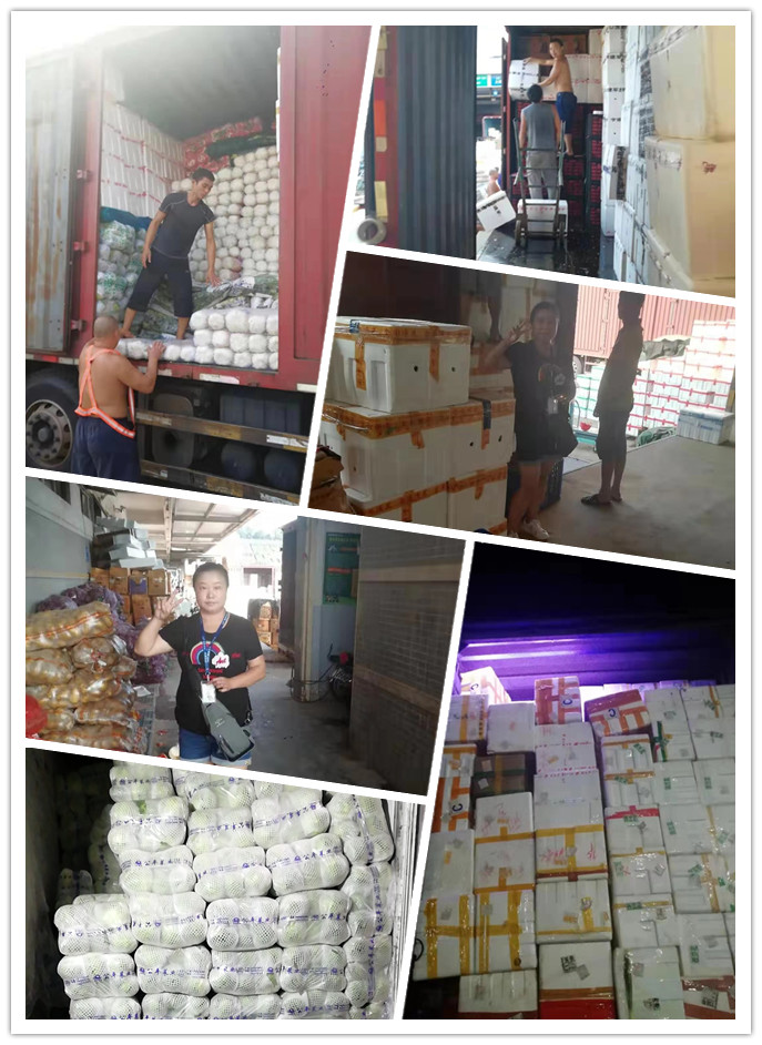 AG真人国际(中国) - 官方网站