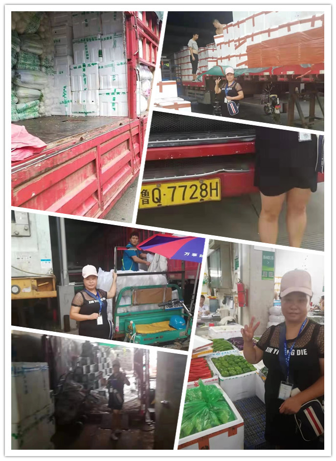 AG真人国际(中国) - 官方网站