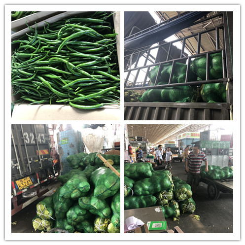 AG真人国际(中国) - 官方网站