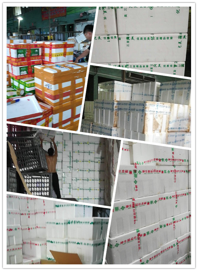 AG真人国际(中国) - 官方网站