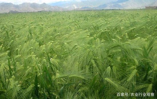 AG真人国际(中国) - 官方网站