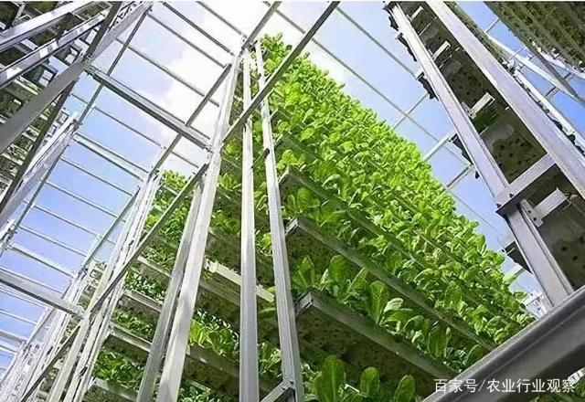 AG真人国际(中国) - 官方网站