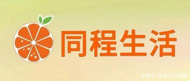 AG真人国际(中国) - 官方网站