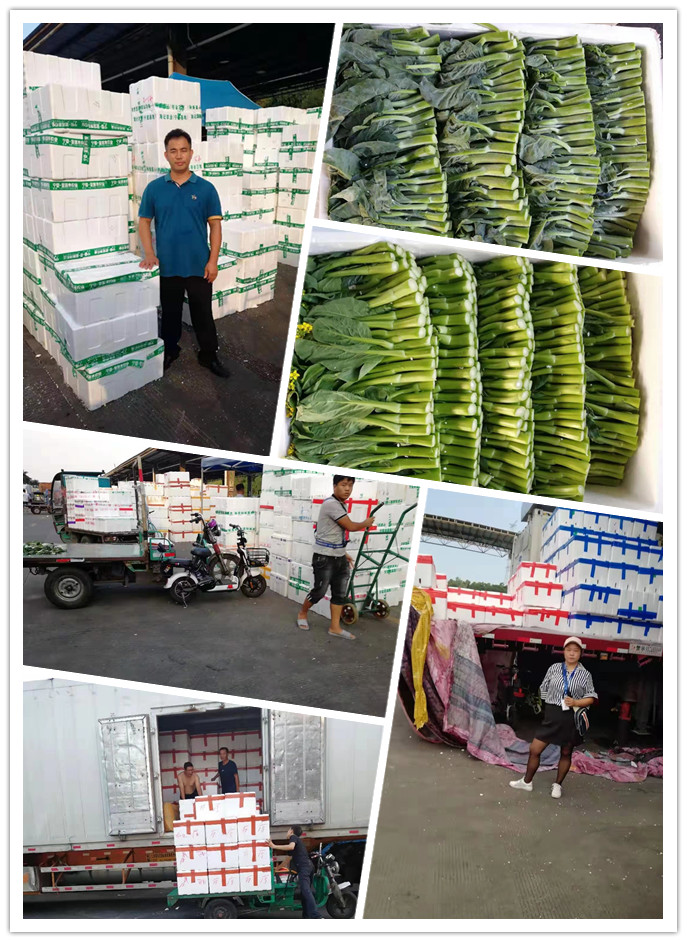 AG真人国际(中国) - 官方网站