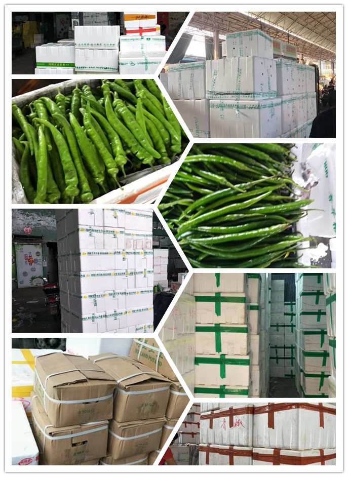 AG真人国际(中国) - 官方网站