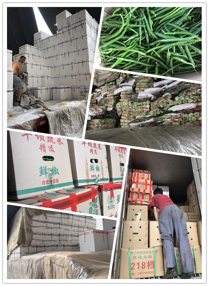 AG真人国际(中国) - 官方网站