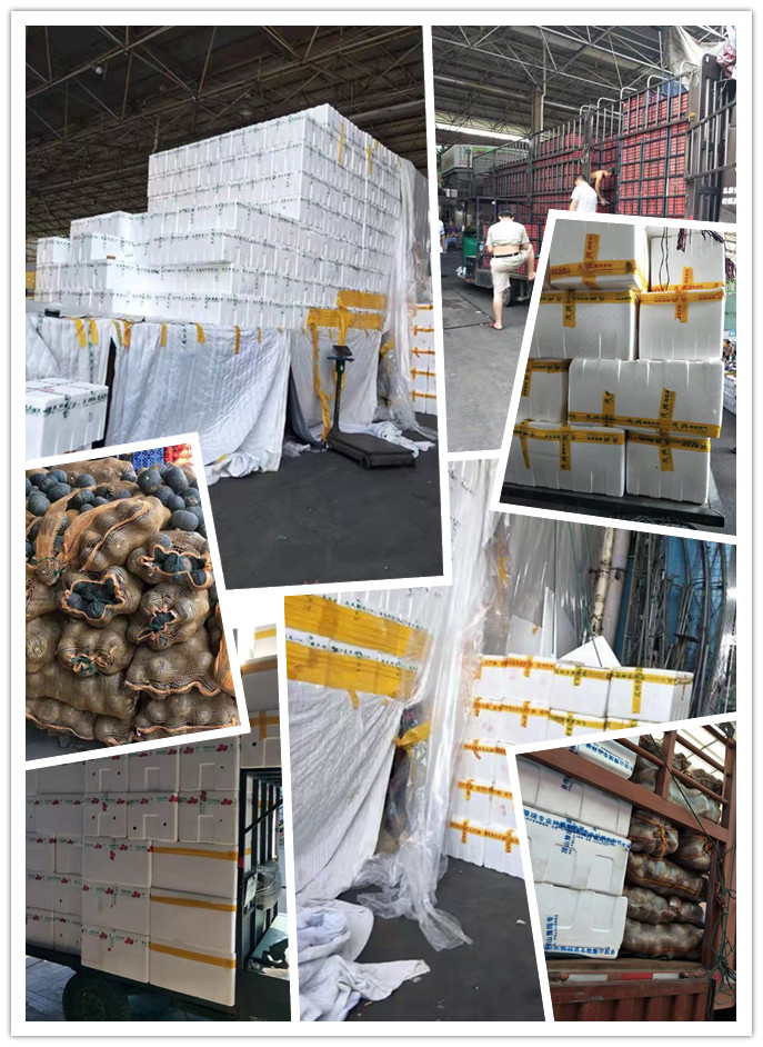 AG真人国际(中国) - 官方网站