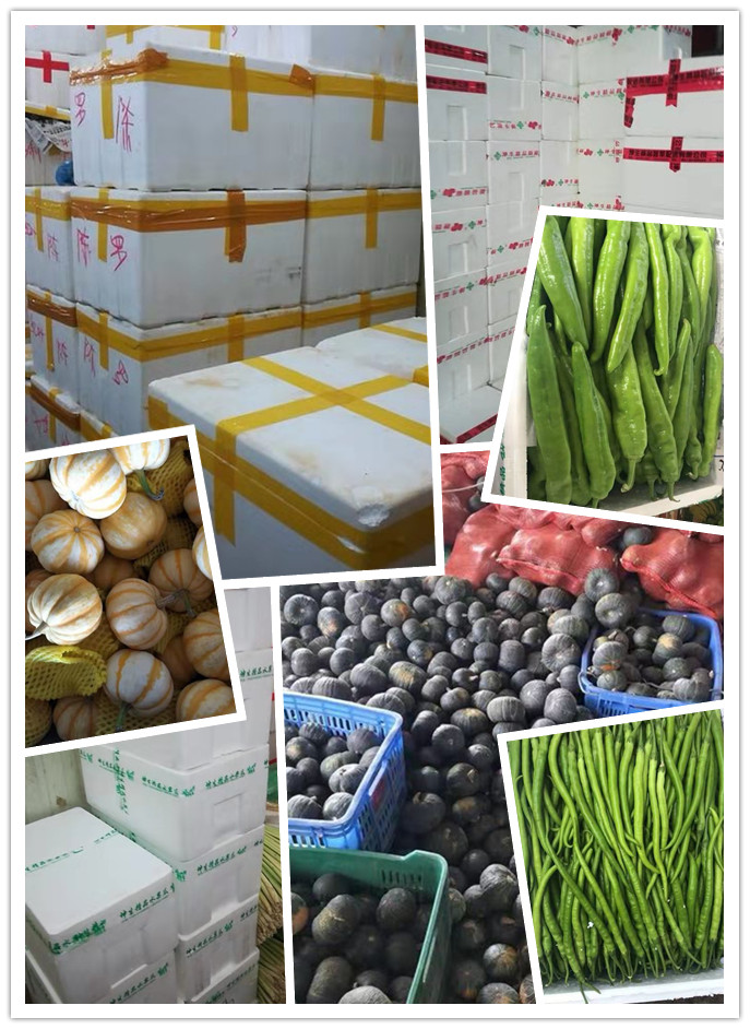 AG真人国际(中国) - 官方网站