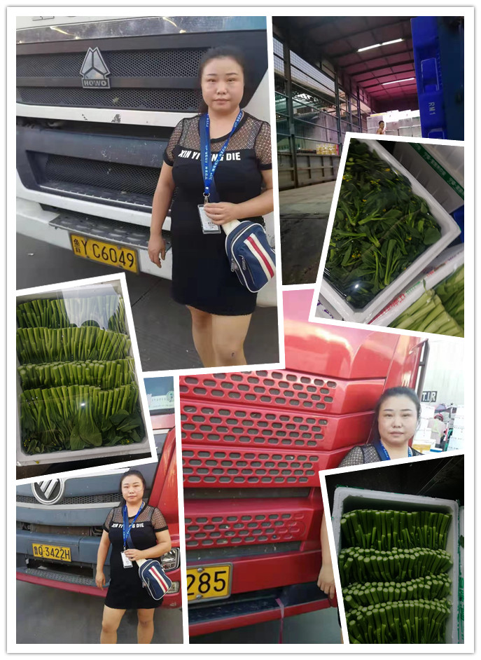 AG真人国际(中国) - 官方网站