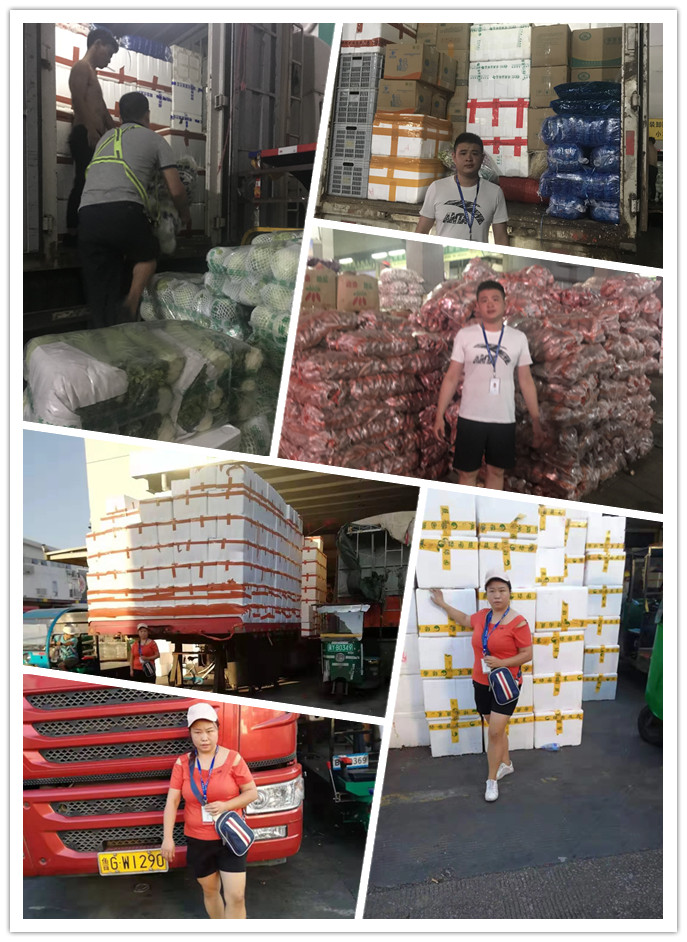 AG真人国际(中国) - 官方网站