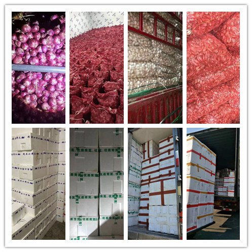 AG真人国际(中国) - 官方网站