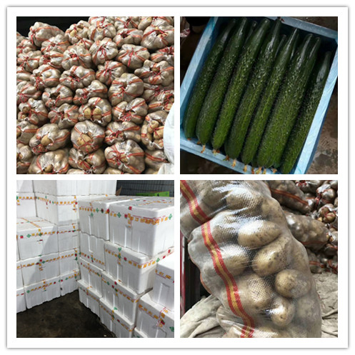 AG真人国际(中国) - 官方网站