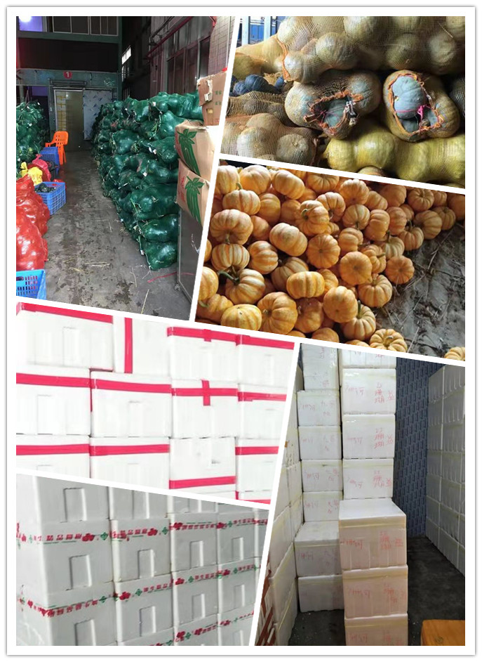 AG真人国际(中国) - 官方网站