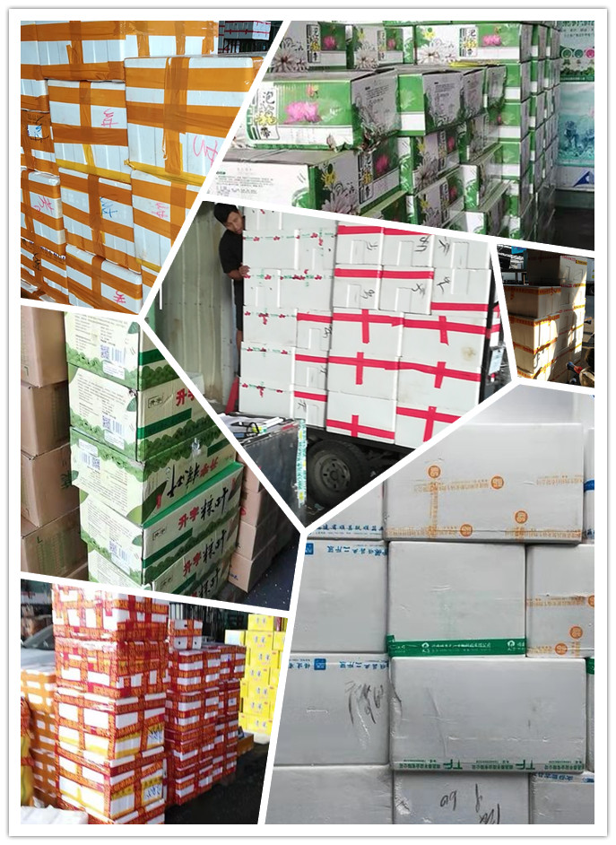 AG真人国际(中国) - 官方网站