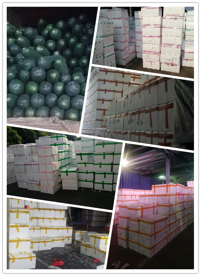 AG真人国际(中国) - 官方网站