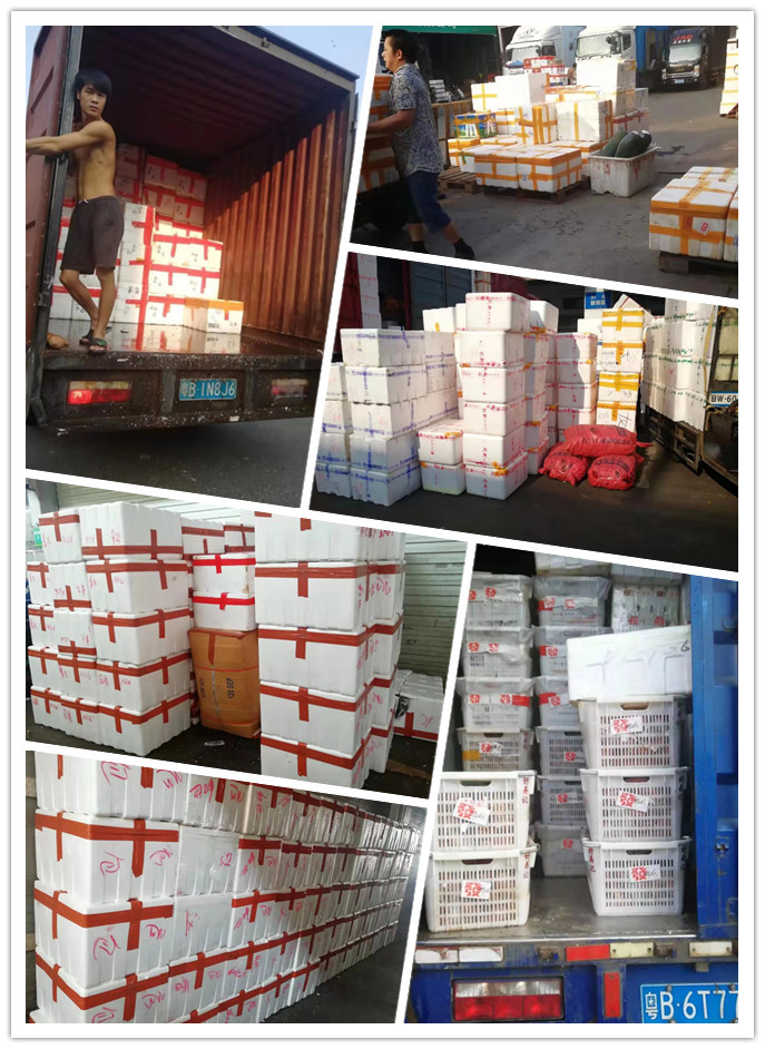 AG真人国际(中国) - 官方网站