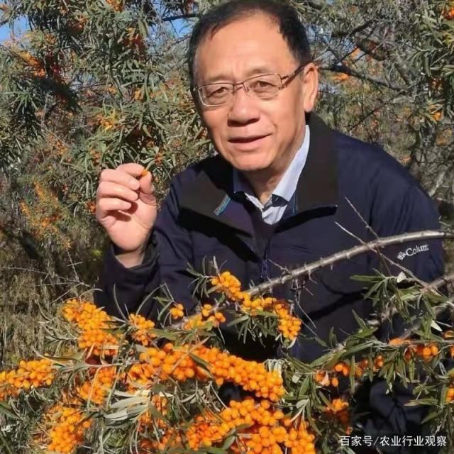 AG真人国际(中国) - 官方网站