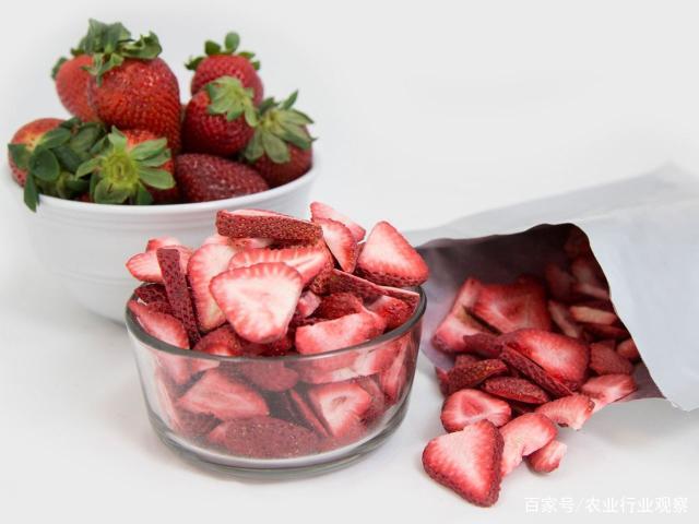 AG真人国际(中国) - 官方网站