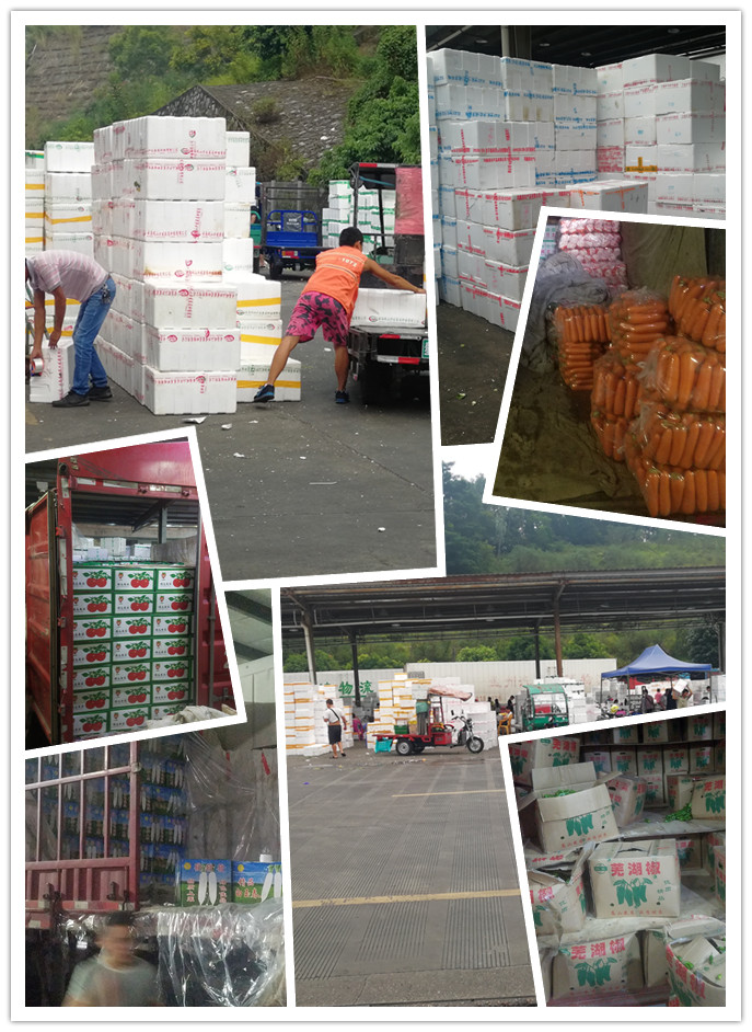 AG真人国际(中国) - 官方网站