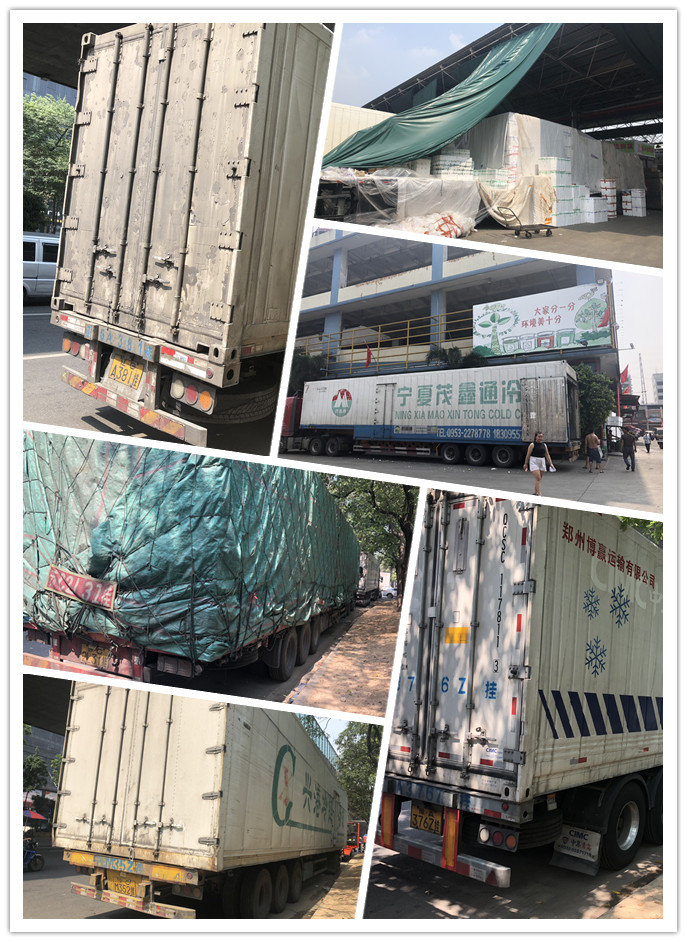 AG真人国际(中国) - 官方网站