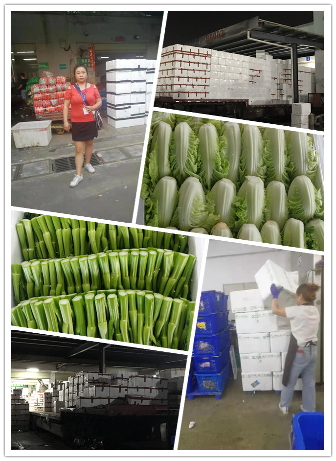 AG真人国际(中国) - 官方网站