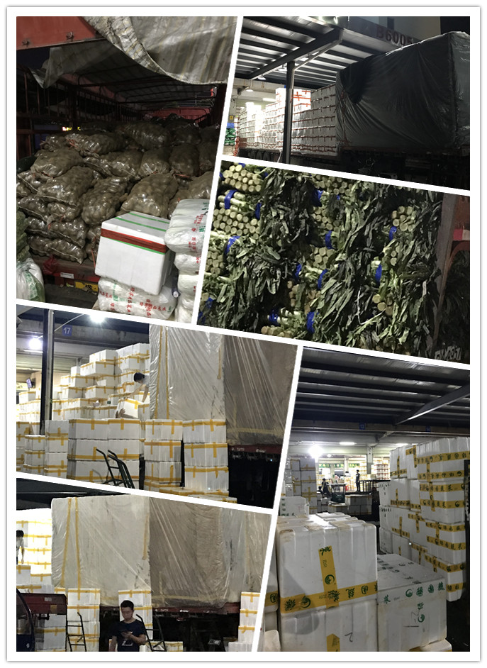 AG真人国际(中国) - 官方网站