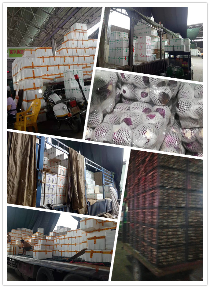 AG真人国际(中国) - 官方网站