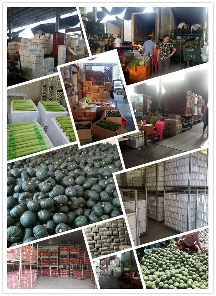 AG真人国际(中国) - 官方网站