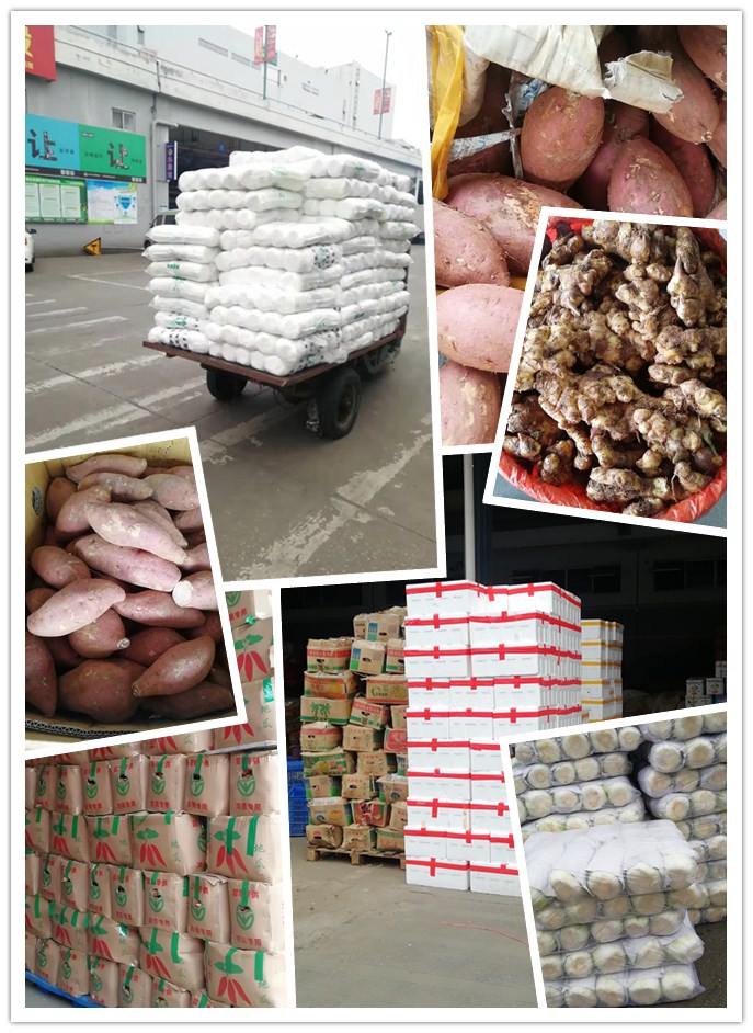 AG真人国际(中国) - 官方网站