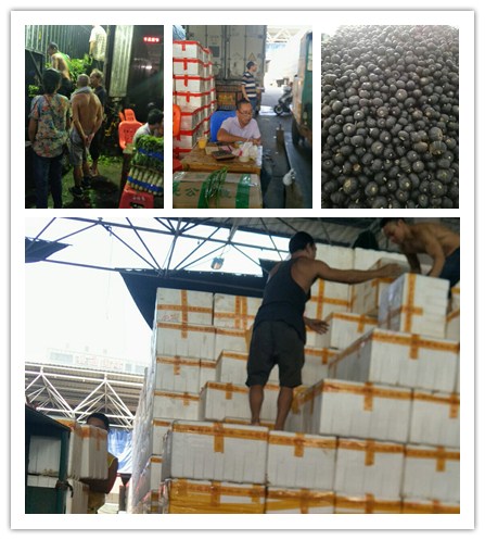 AG真人国际(中国) - 官方网站