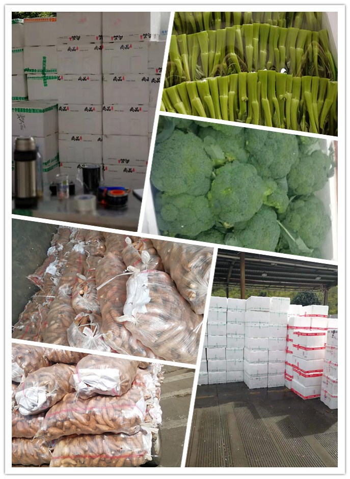 AG真人国际(中国) - 官方网站