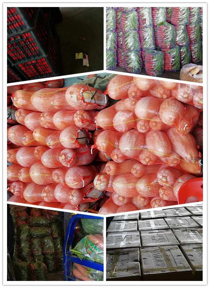 AG真人国际(中国) - 官方网站