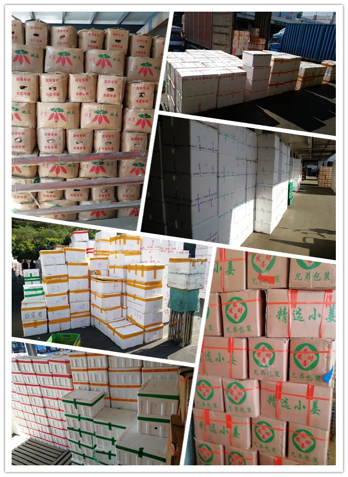 AG真人国际(中国) - 官方网站