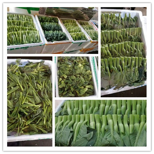 AG真人国际(中国) - 官方网站