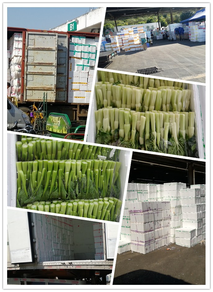 AG真人国际(中国) - 官方网站