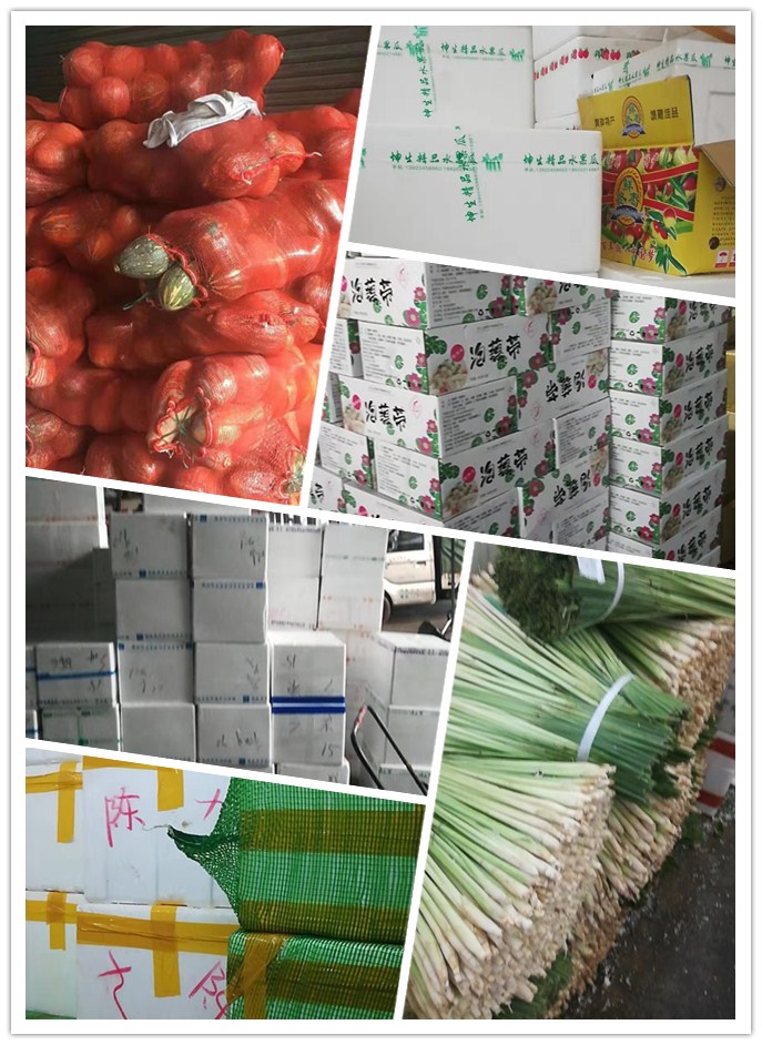 AG真人国际(中国) - 官方网站