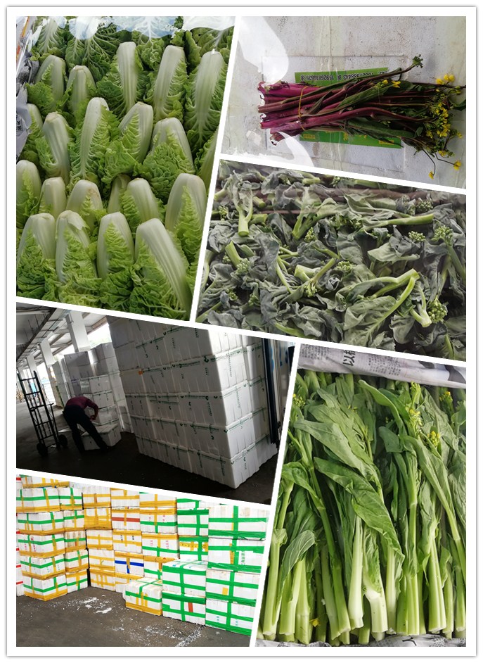 AG真人国际(中国) - 官方网站