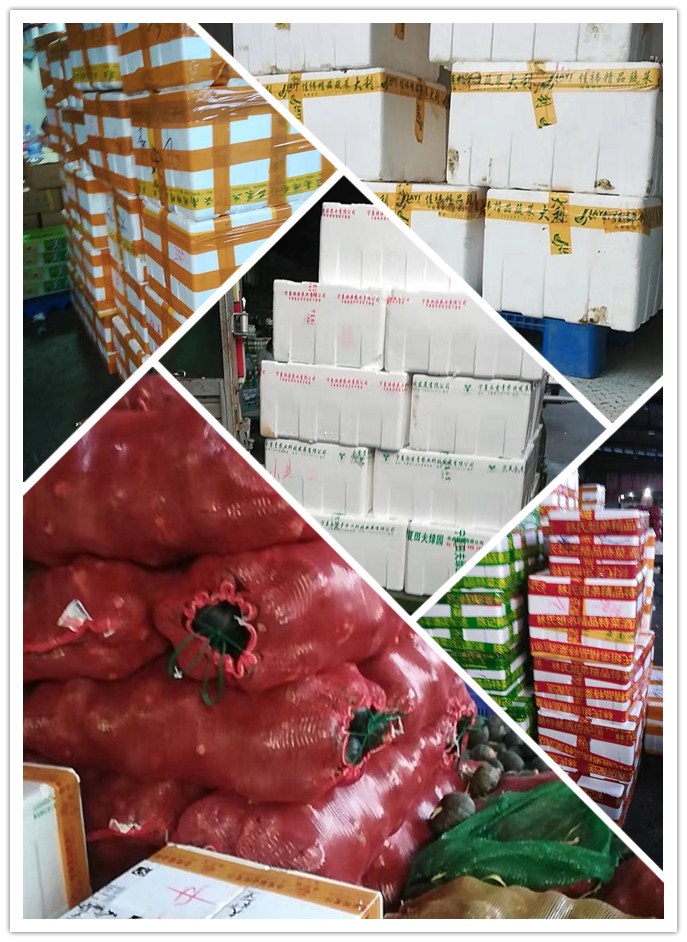 AG真人国际(中国) - 官方网站