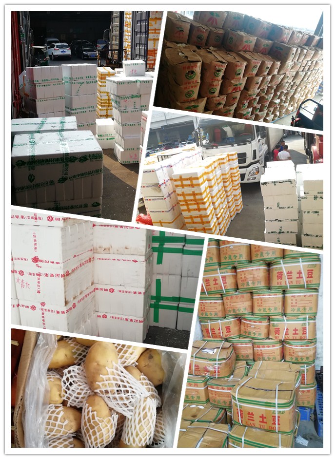 AG真人国际(中国) - 官方网站