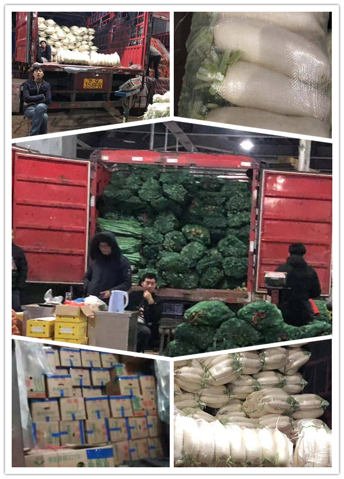 AG真人国际(中国) - 官方网站