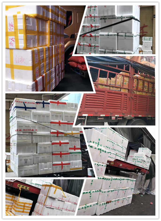 AG真人国际(中国) - 官方网站