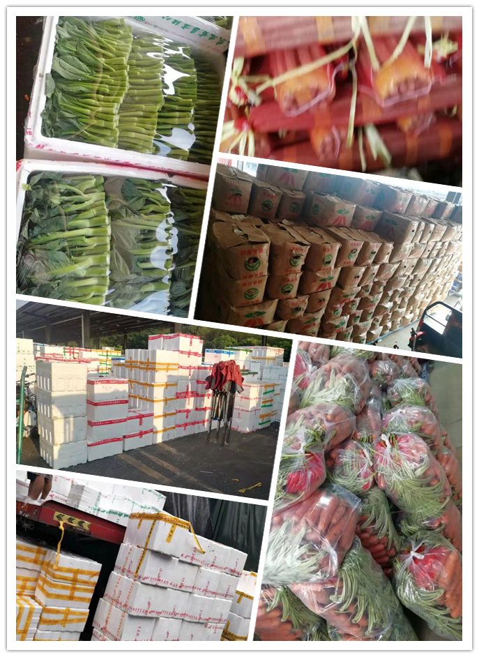 AG真人国际(中国) - 官方网站