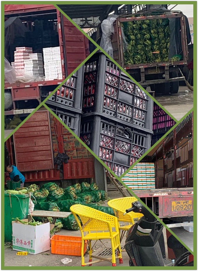 AG真人国际(中国) - 官方网站