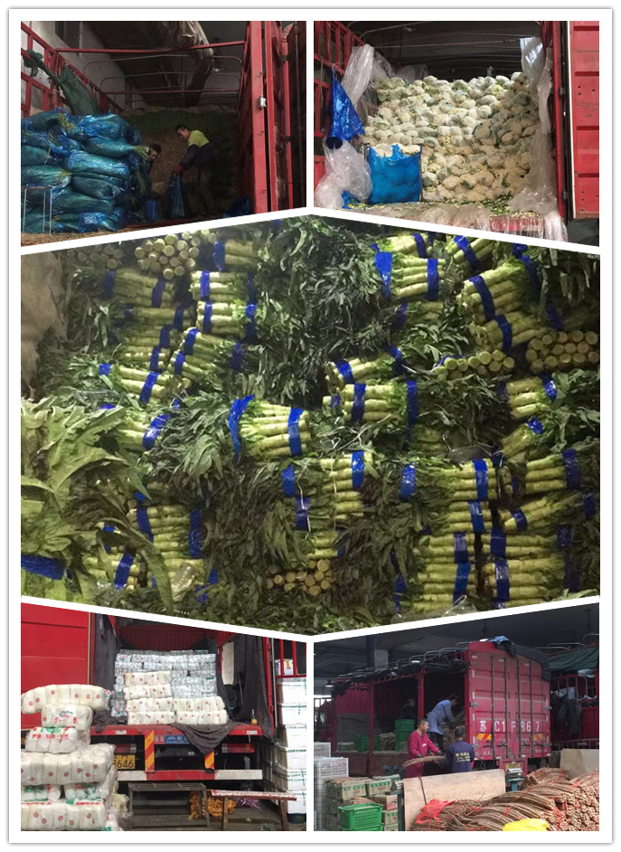 AG真人国际(中国) - 官方网站