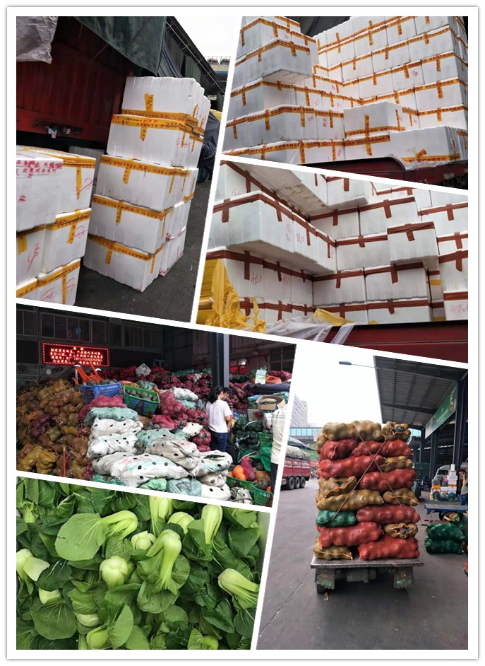 AG真人国际(中国) - 官方网站