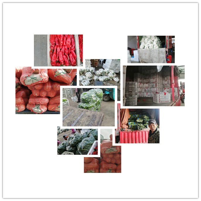 AG真人国际(中国) - 官方网站