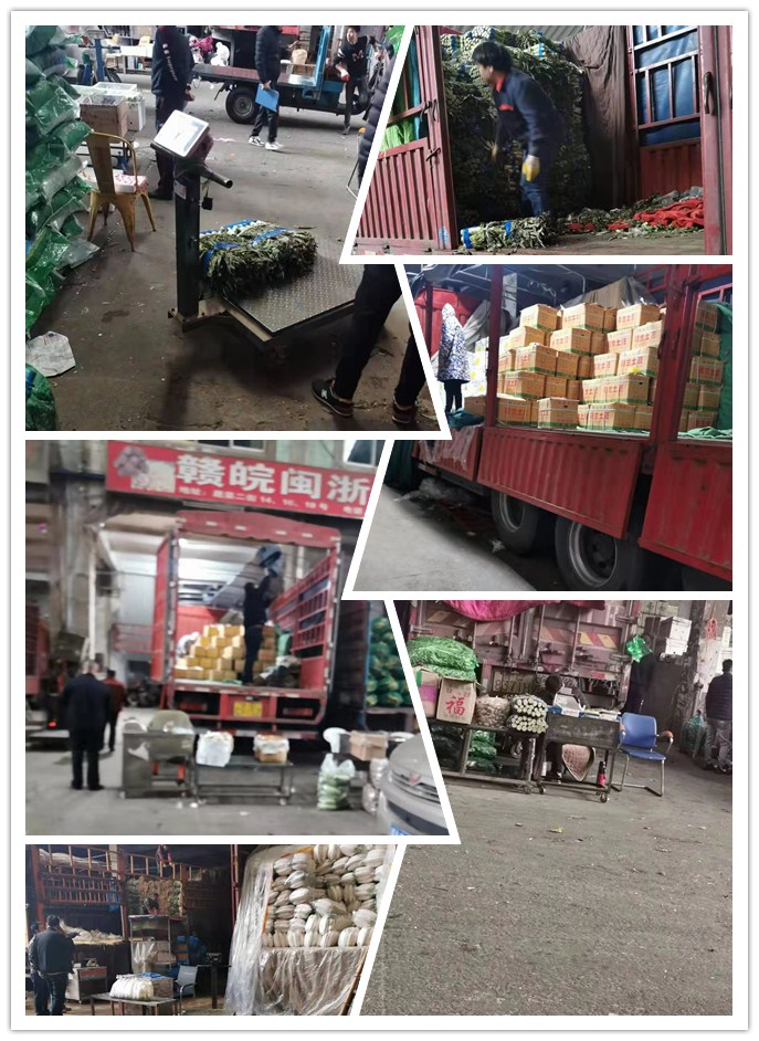 AG真人国际(中国) - 官方网站