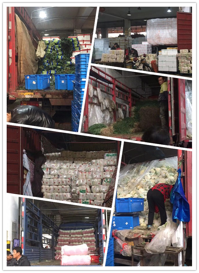 AG真人国际(中国) - 官方网站