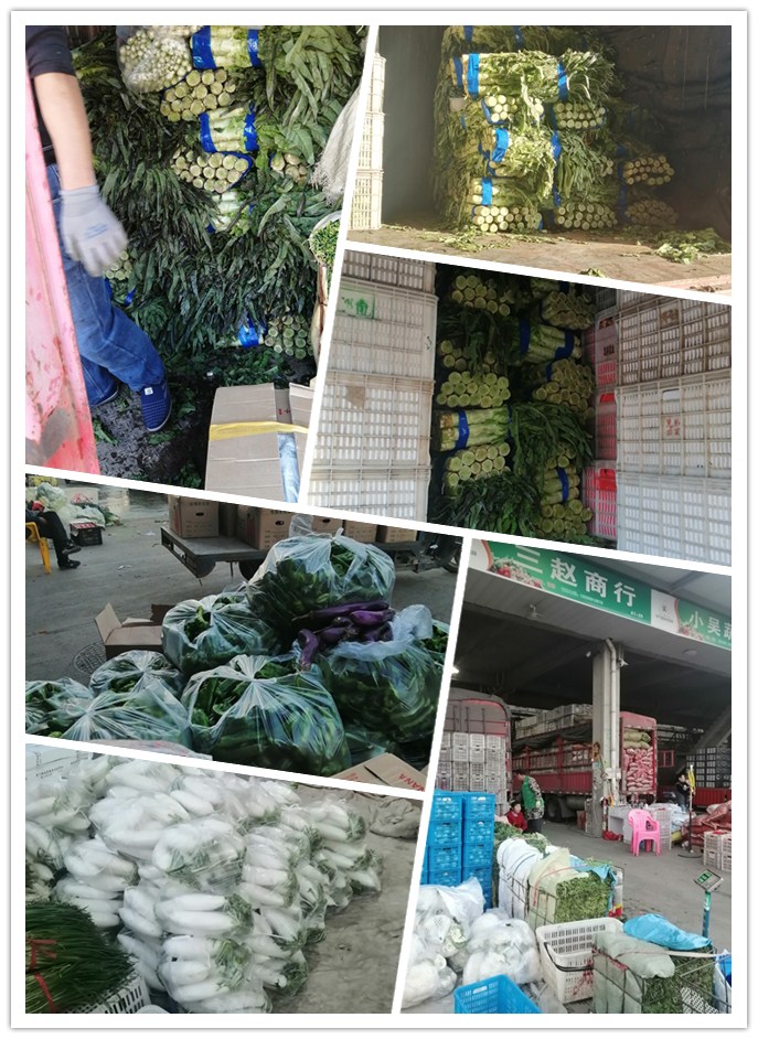 AG真人国际(中国) - 官方网站