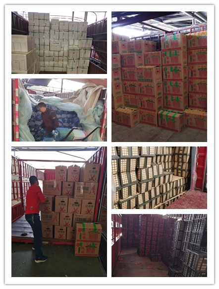 AG真人国际(中国) - 官方网站